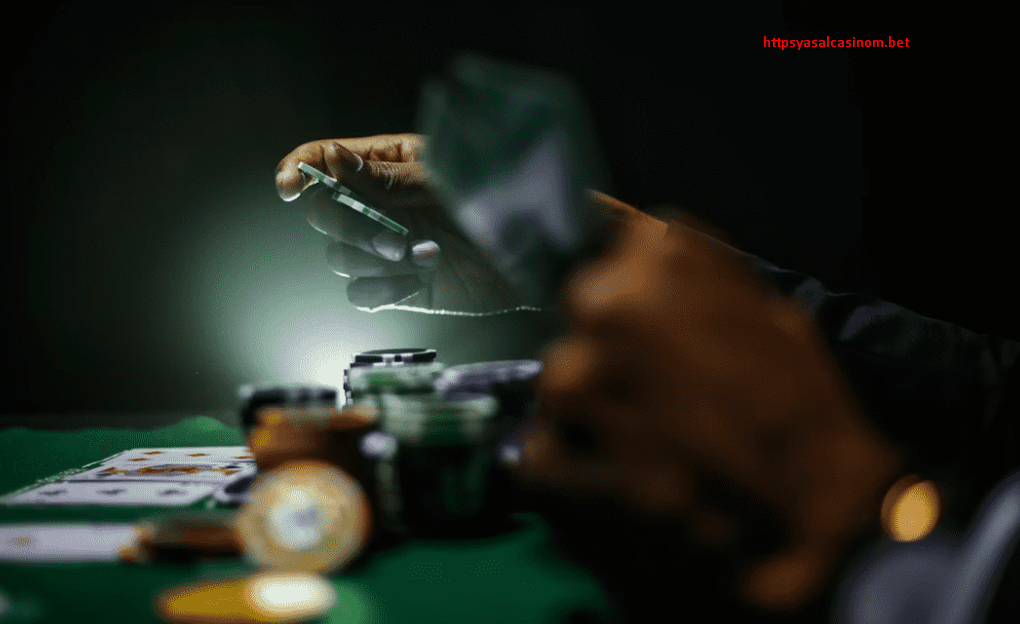 Yasalcasinom hesap erişimi