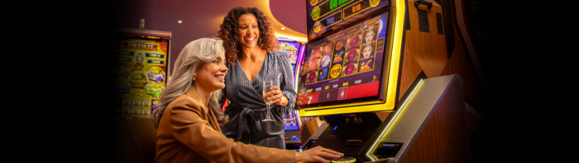 Yasalcasinom Kullanıcı Kaydı